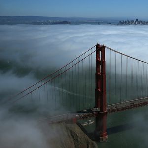 Meet your Posher, Carole